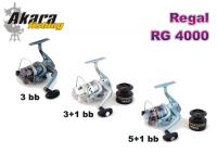 Безин. катушка AKARA Regal RG-4000 (5+1 bb, 0,30/200 мм/м, 5,2:1) с зап.шп.