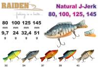 Воблер RAIDEN Natural J-Jerk   (24 гр., 100 мм, цв. 397)